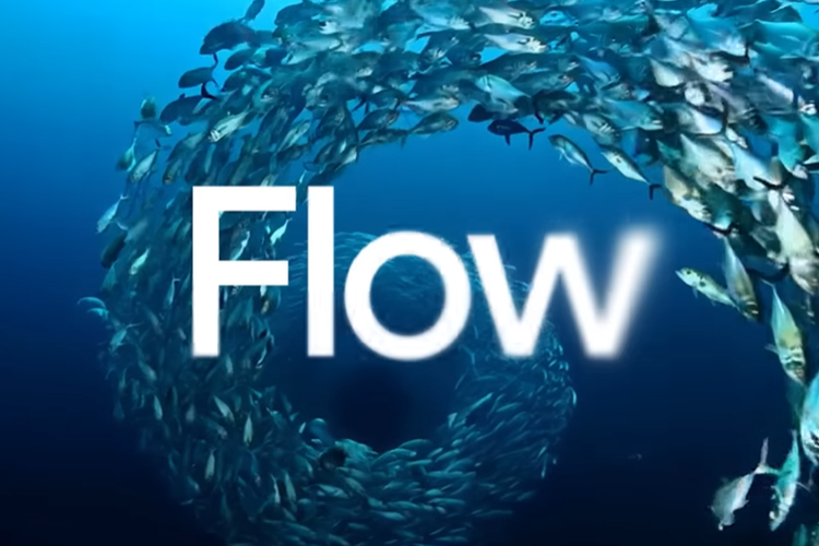 Google Flow
